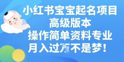 小红书宝宝起名项目高级版本,操作简单,资料专业,月入过W-MQ资源站