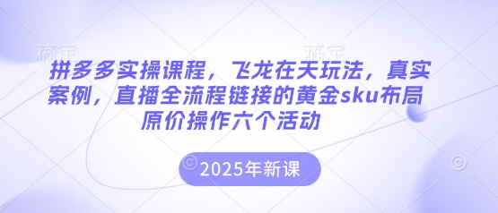 拼多多实操课程，飞龙在天玩法，真实案例，直播全流程链接的黄金sku布局原价操作六个活动-MQ资源站