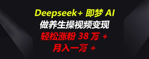 Deepseek+即梦AI，做养生操视频变现，轻松涨粉38W+，月入一W+-MQ资源站