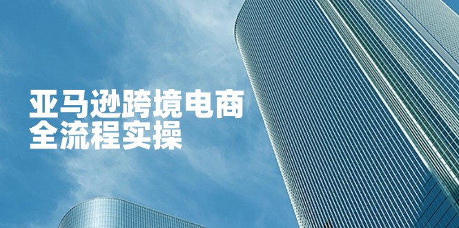 （14252期）亚马逊跨境电商全流程实操，教你从零开始，掌握店铺运营与广告技巧-MQ资源站