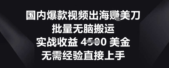 国内爆款视频出海挣美刀，批量无脑搬运，实战收益4.5k，无需经验直接上手-MQ资源站