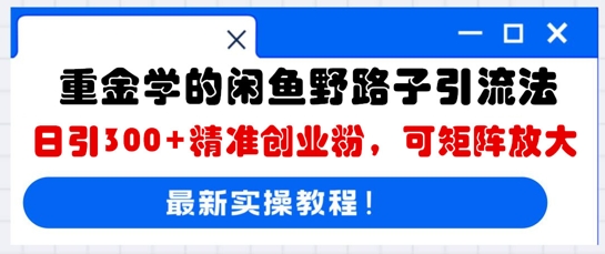 重金学的闲鱼野路子引流法,日引300+精准创业粉,可矩阵放大-MQ资源站