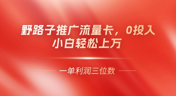 0门槛推广流量卡,一单收益上百,0投入,小白月入过W-MQ资源站
