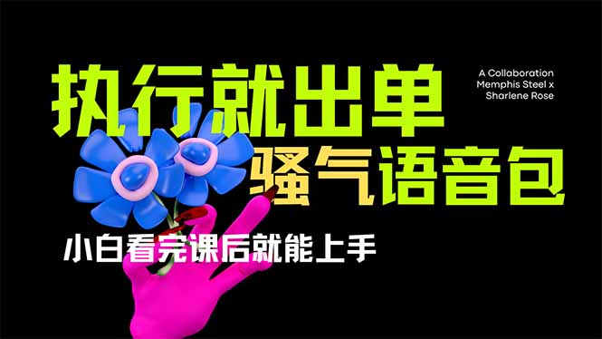 (14170期)爆火全网的开车导航骚气语音包,只要执行就出单,小白看完课程就能实操...-MQ资源站