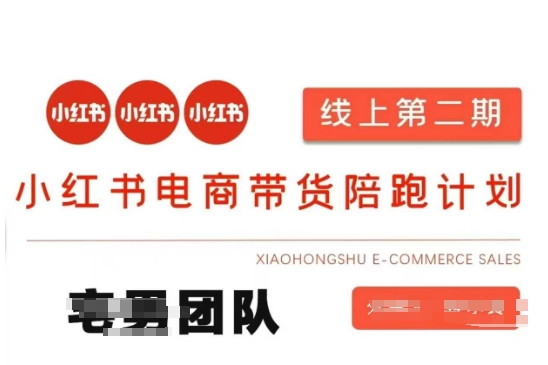 小红书电商带货课2期，月利润20个的小红书电商的有货源，无货源，虚拟产品，付费投流等整套玩法-MQ资源站