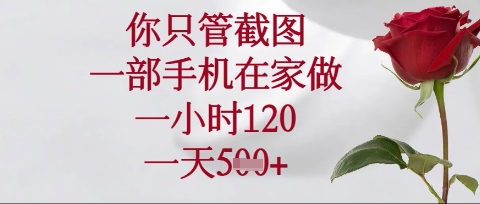 你只管截图,一部手机在家操作,一小时120.一天5张【揭秘】-MQ资源站