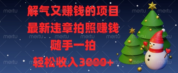 解气又挣钱的项目，最新违章拍照挣钱，随手一拍，轻松收入数张【揭秘】-MQ资源站